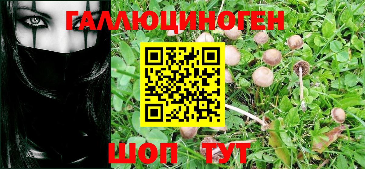 Галлюциногенные грибы мухоморы Тихорецк