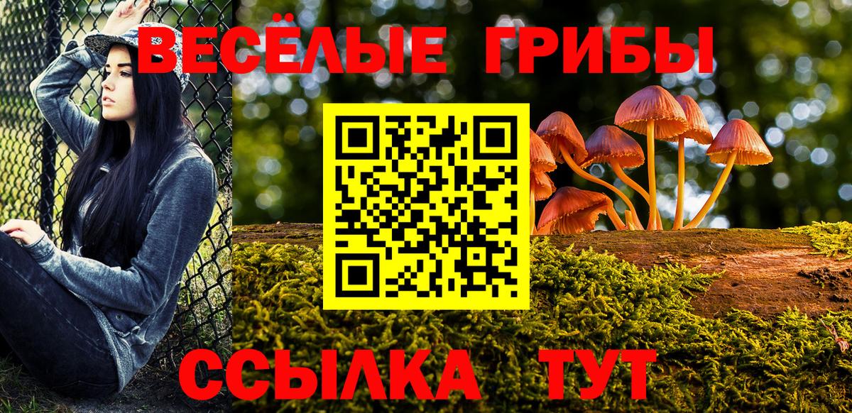 Тихорецк  купить наркотики цена  Галлюциногенные грибы Psilocybe  Вход с VPN  Галлюциногенные грибы ЛСД 